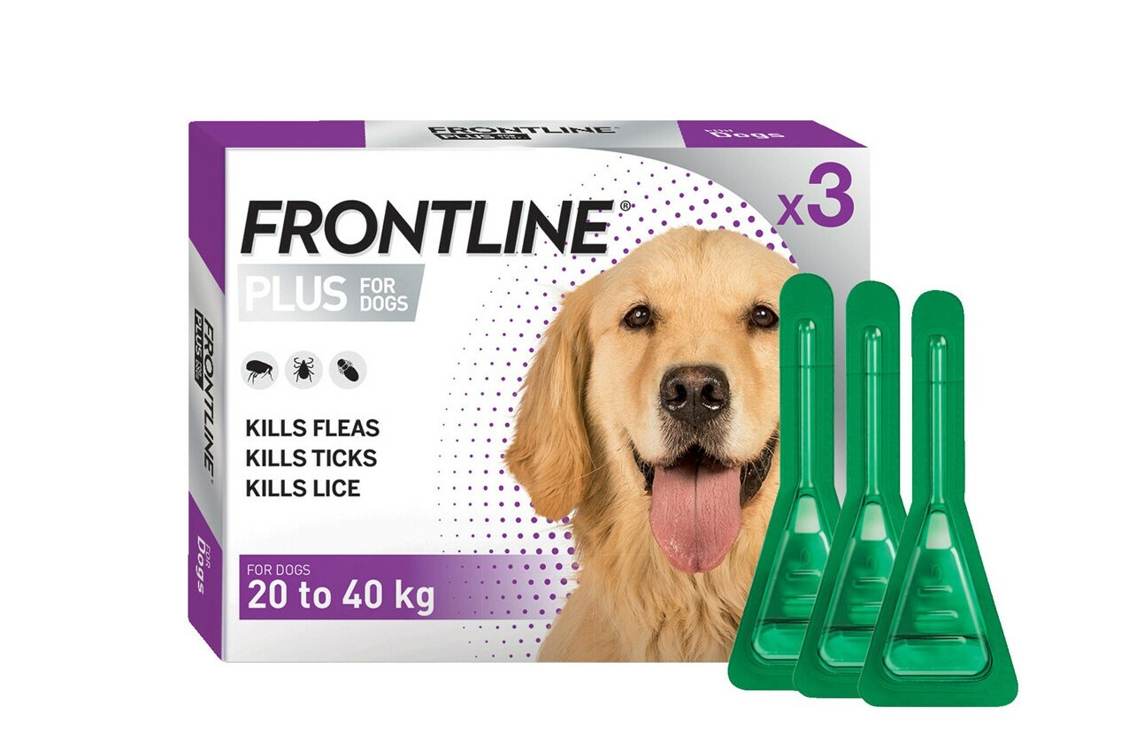 Frontline Plus