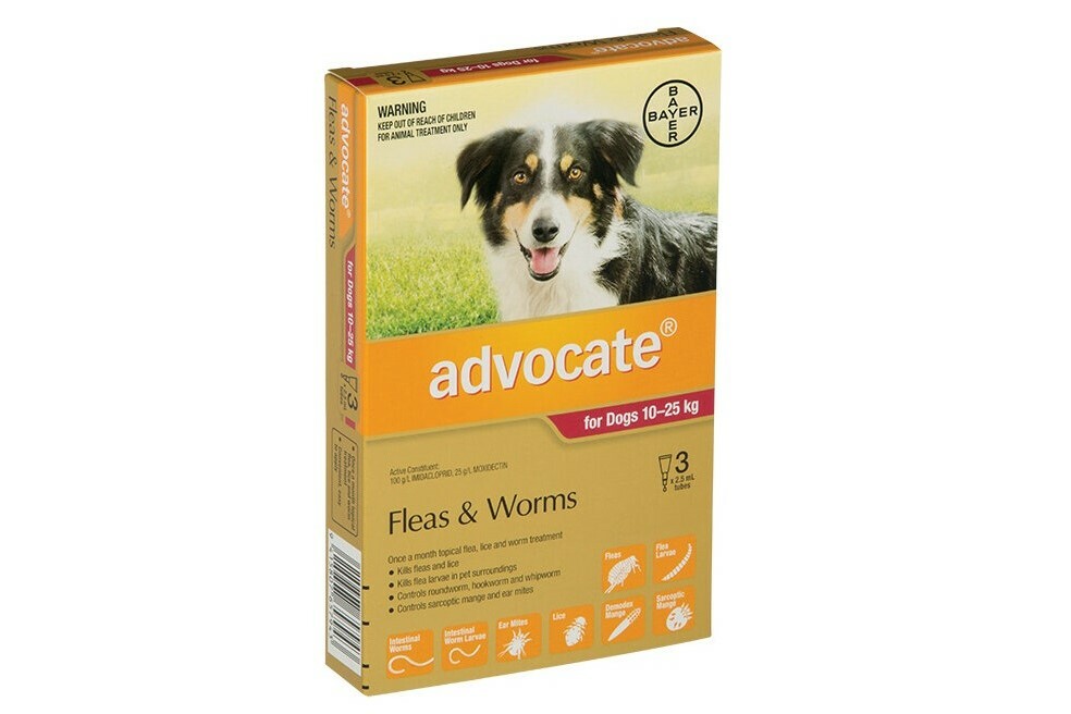 Advocate