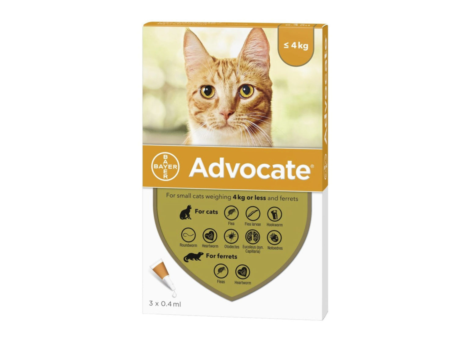 Advocate