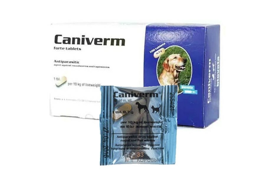 Caniverm